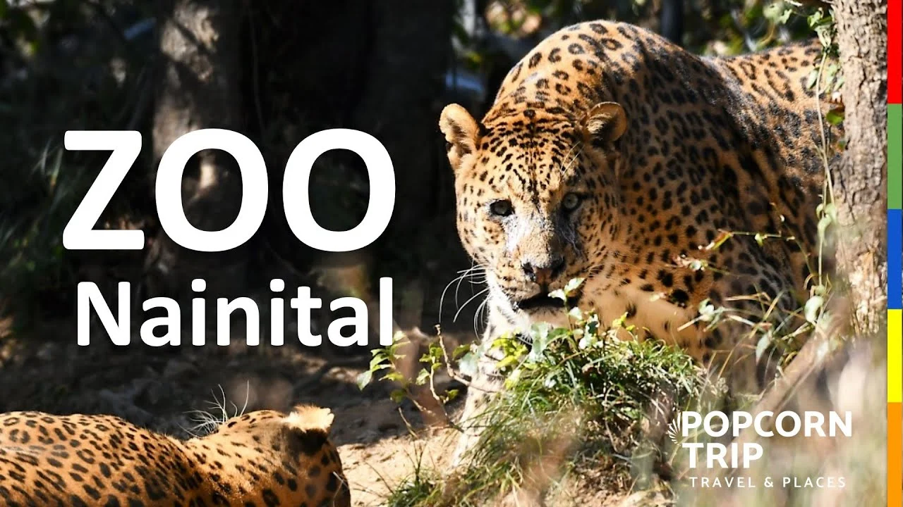 Nainital Zoo