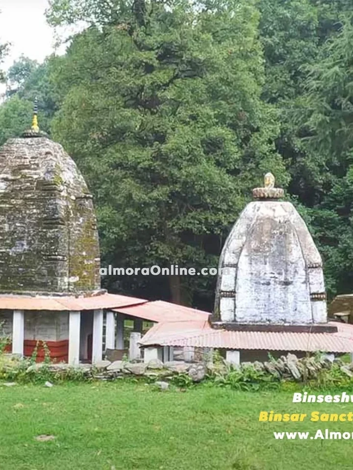 Binsar, beyond the view