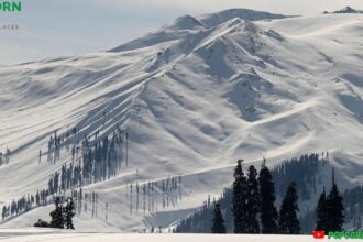 Gulmarg image