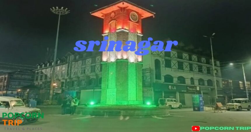 srinagar image