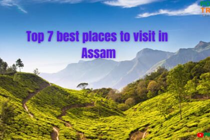 Assam image