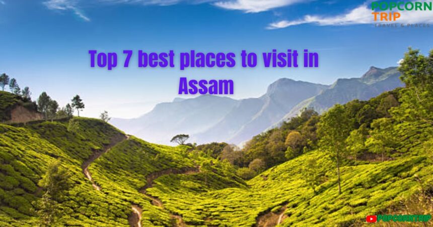 Assam image